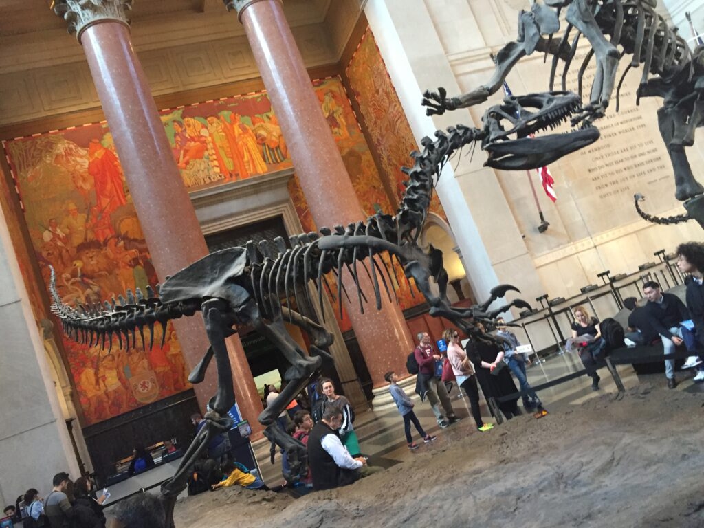 Museu Americano de História Natural - NYC