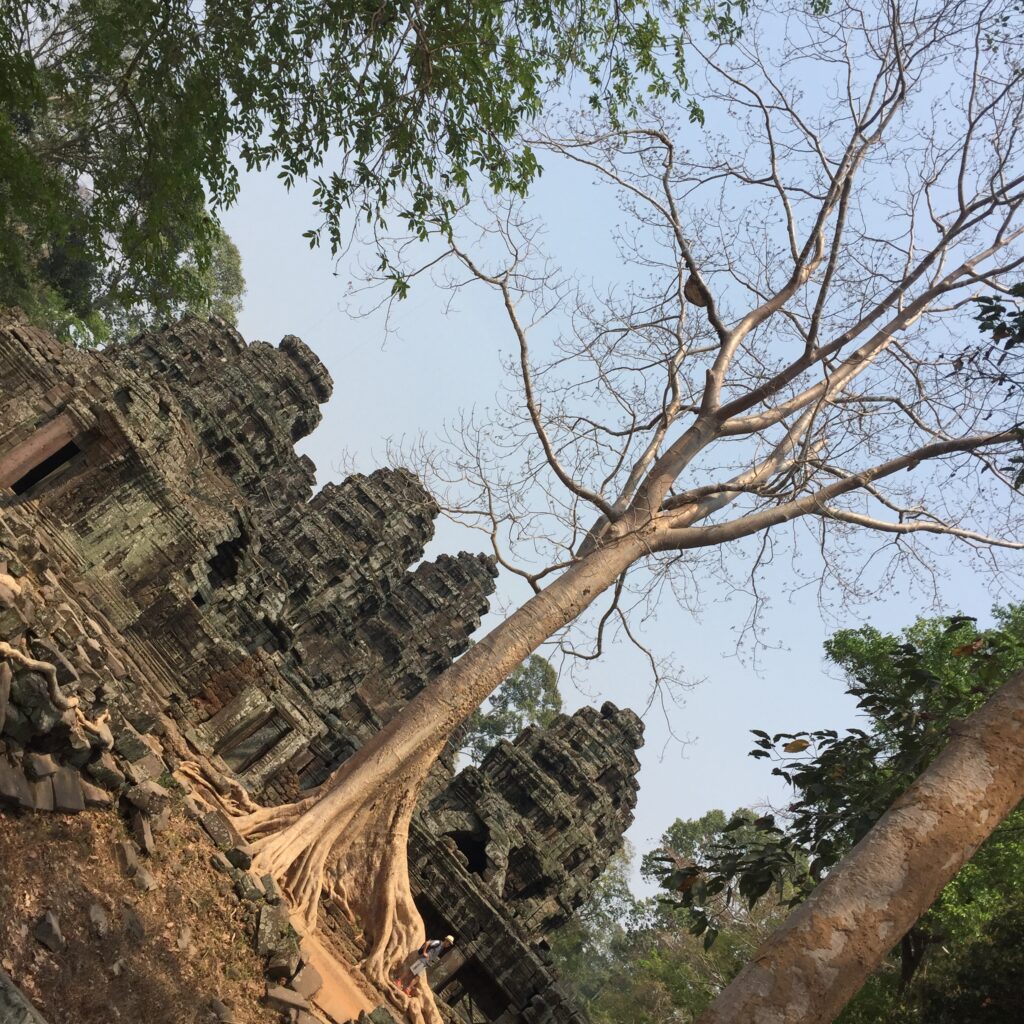 Ta Nei - Siem Reap - Angkor