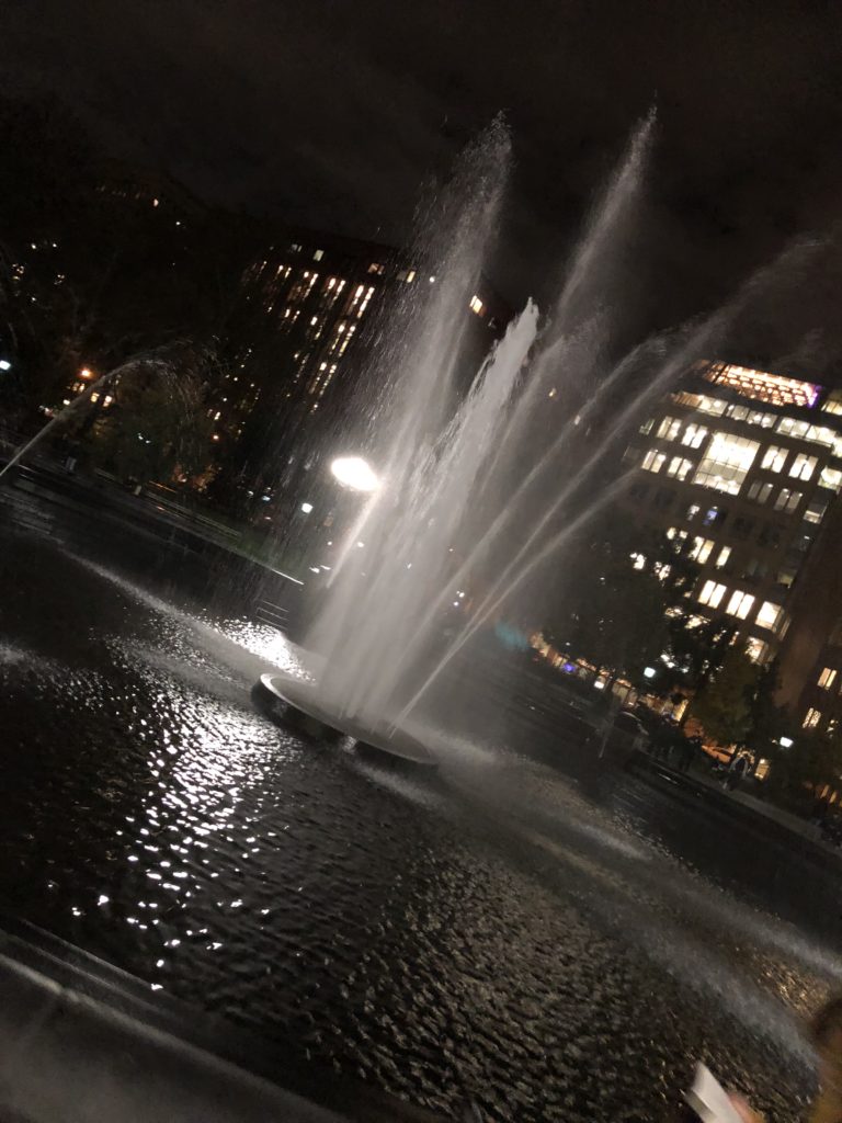 Washington Square Park - NYC