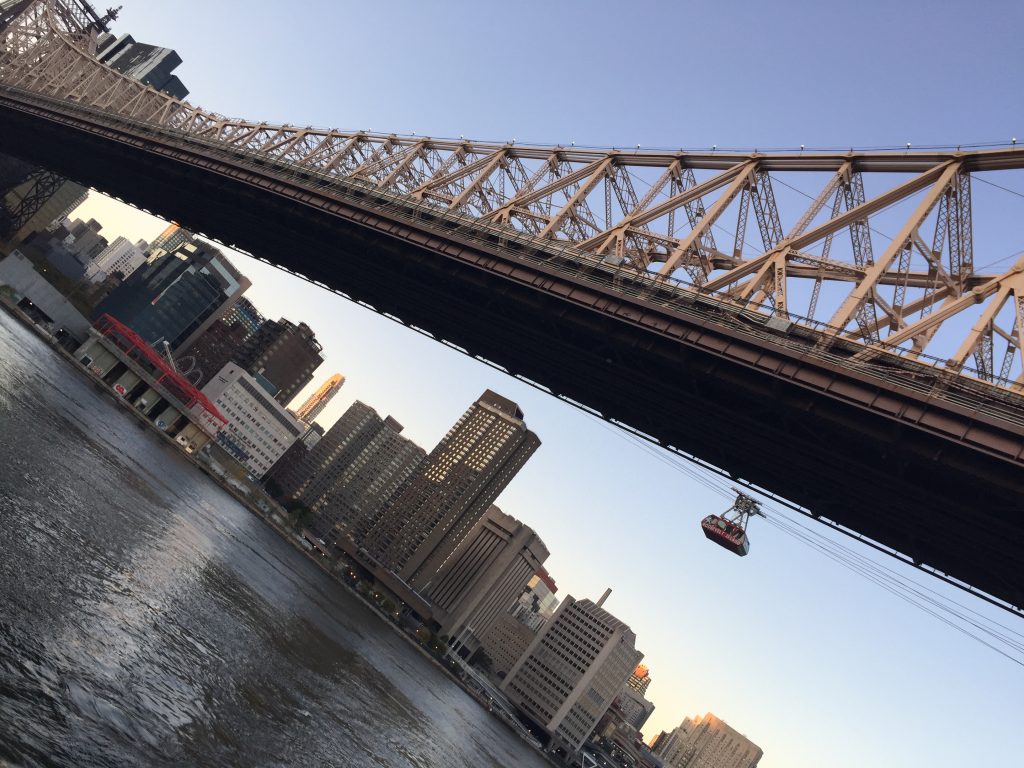 Roosevelt Island