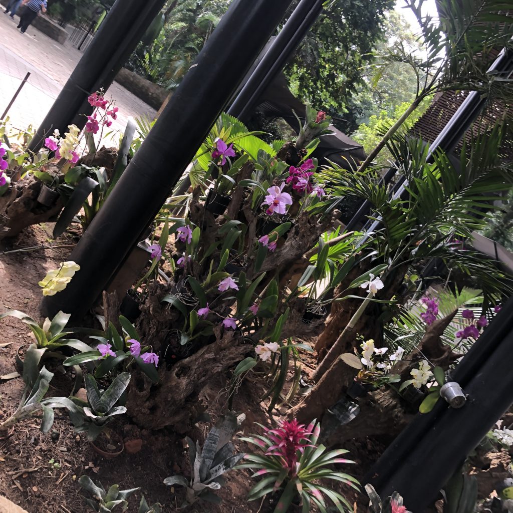 Jardin Botanico de Medellin